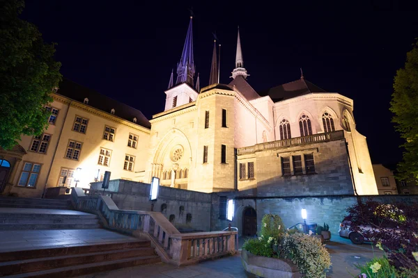 Notre-Dame Cathedral at night — Stock Photo, Image