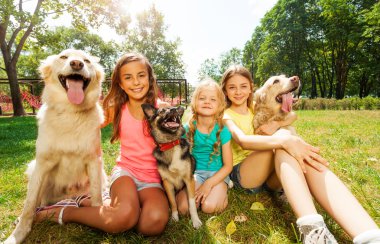 Köpeklerin üç kız