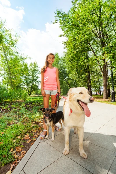 Genç kız köpeklerle yürür — Stok fotoğraf