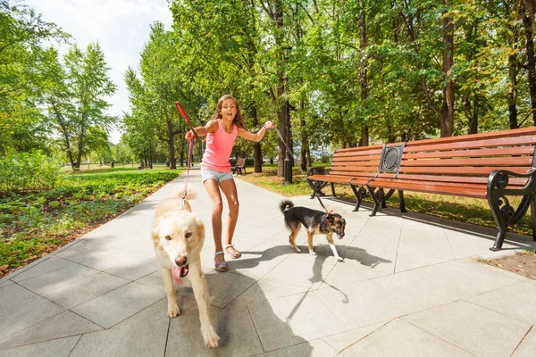 Teenage girl with running dogs — Stock Photo, Image