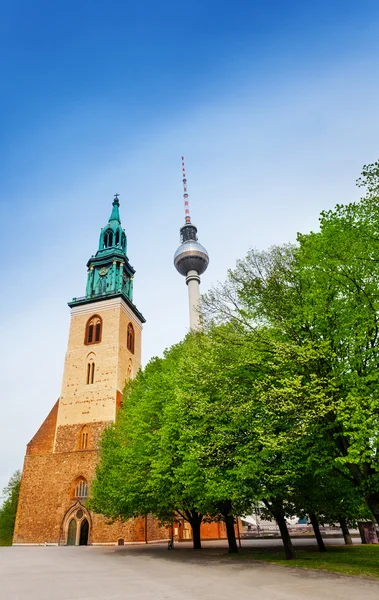 St. Mary 's church in berlin — стоковое фото