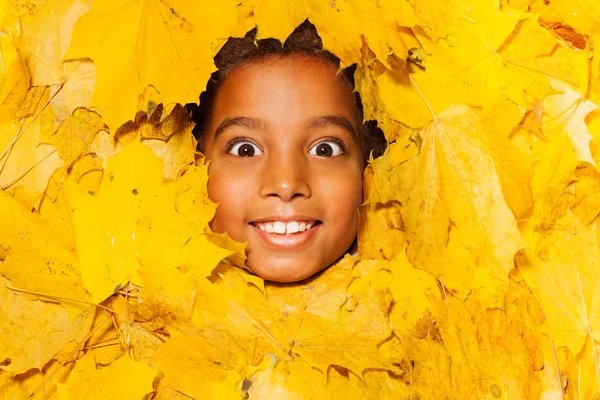 Usměvavý chlapec v listí — Stock fotografie