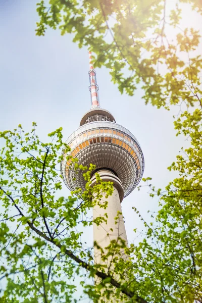 Berliner Fernsehturm подання — стокове фото