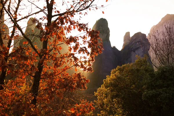 Bomen en rock bergen in Meteora — Stockfoto