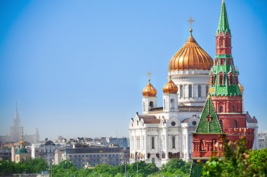Beautiful Cathedral of Christ the Savior clipart