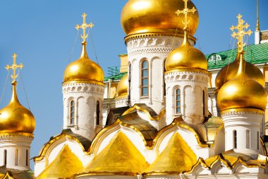 Annunciation Cathedral cupolas clipart