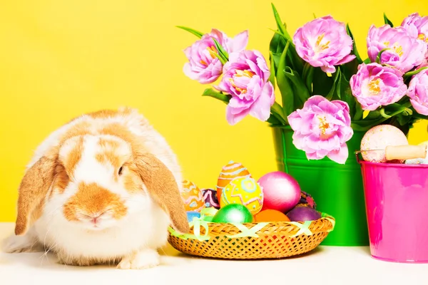 Rabbit with flowers and Eastern eggs — Stock Photo, Image