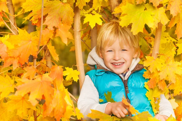 Biondo ragazzo in giallo autunno foglie — Foto Stock