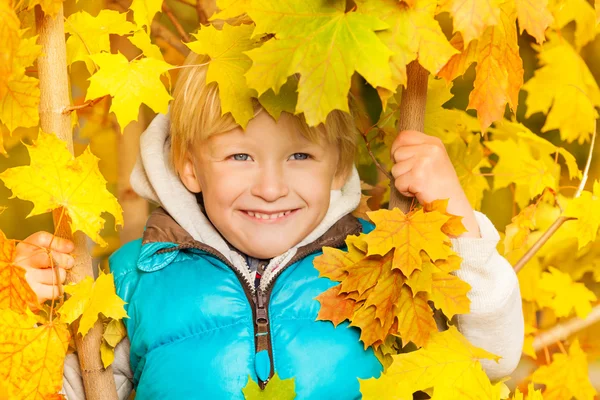 Biondo ragazzo in giallo autunno foglie — Foto Stock