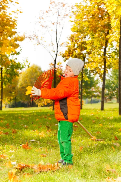 Boy cleans rake from leaves — Stock Photo, Image