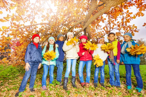 Kinderen met trossen van esdoorn bladeren — Stockfoto