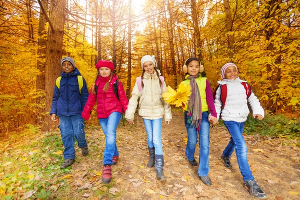 Kids with yellow maple leaves — Stock Photo, Image