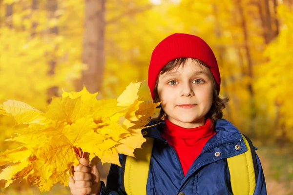 Ragazzo con mazzo di foglie gialle — Foto Stock