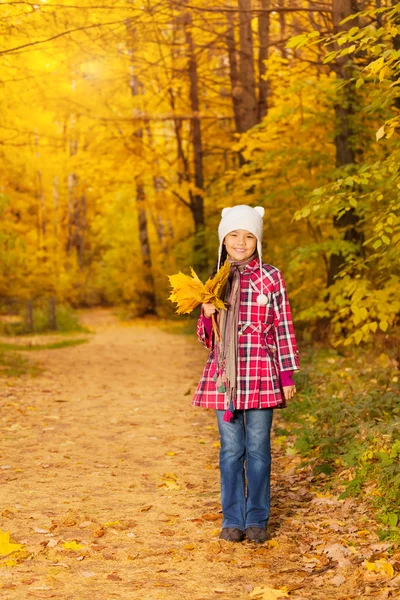 Menina com um monte de folhas amarelas — Fotografia de Stock