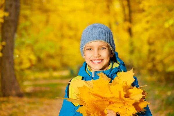 Ragazzo con mazzo di foglie d'acero gialle — Foto Stock