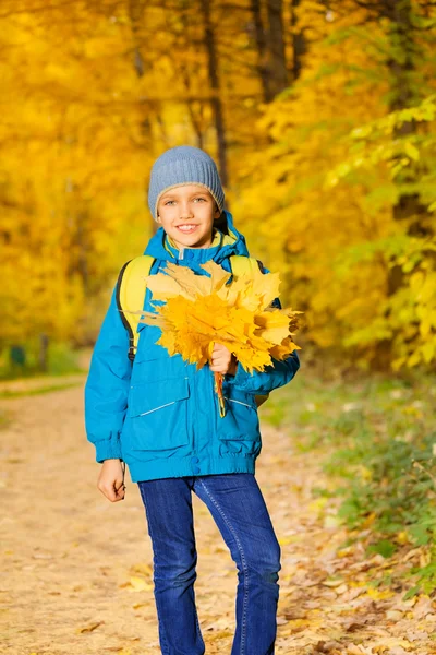 Ragazzo con mazzo di foglie d'acero gialle — Foto Stock