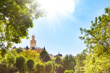Marksburg kale görünümü