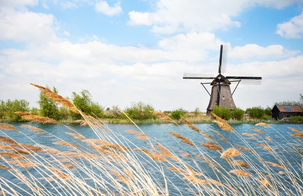 Holland szélmalom víz — Stock Fotó