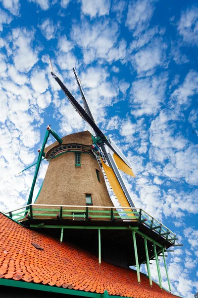 Régi szélmalom Zaandam — Stock Fotó