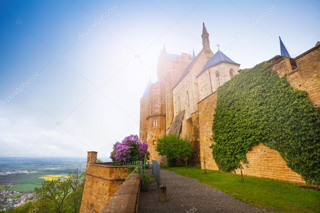 Wall with ivy in castle