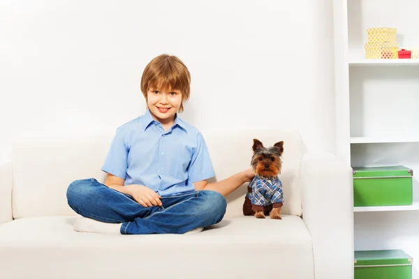 Yorkshire Terrier mit Junge — Stockfoto