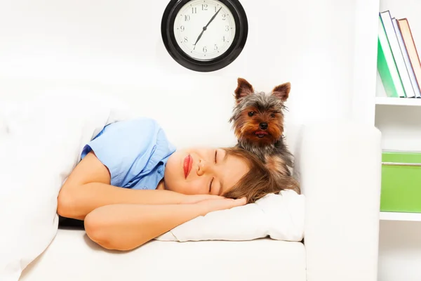 Yorkshire Terrier with sleeping boy — Stock Photo, Image