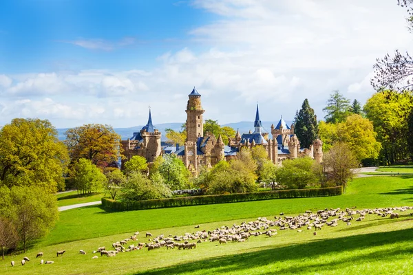 Lion kasteel Lowenburg in Duitsland — Stockfoto