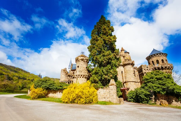 Ruines du vieux château du Lion à Bergpark — Photo