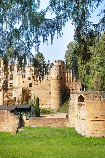 Beaufort castle ruins in forest — Stock Photo, Image