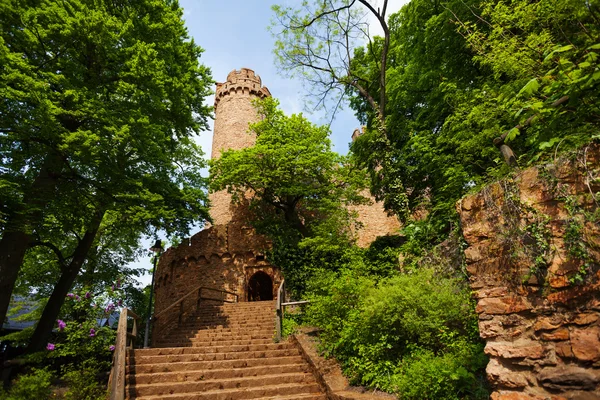 Entrada do castelo de Auerbach em árvores de primavera — Fotografia de Stock