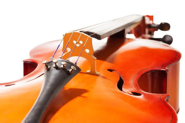 Close-up view of cello body — Stock Photo, Image