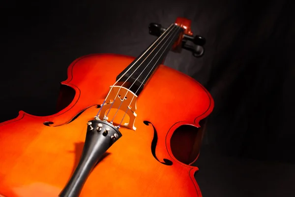 Violoncello Korpus auf Schwarz — Stockfoto