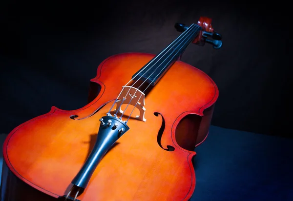 Cello in full length and vertical position — Stock Photo, Image