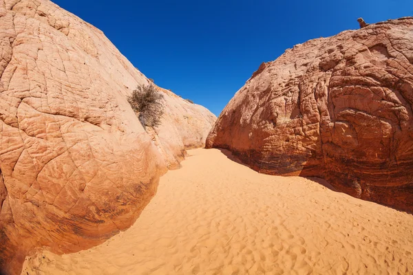 Zebra Slot Canyon Utah, EUA — Fotografia de Stock