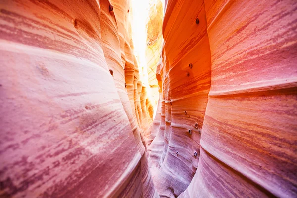 Ondas de Cañón de Ranura de Cebra Utah — Foto de Stock