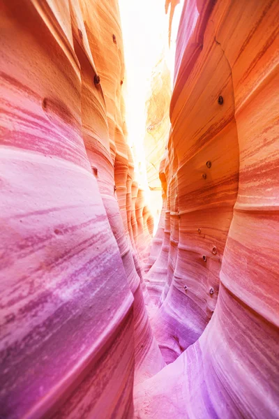 Cañón de Ranura de Cebra Utah, Estados Unidos — Foto de Stock