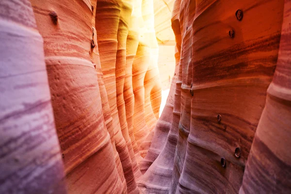 Colonne e onde, Canyon di Fessura di Zebra — Foto Stock