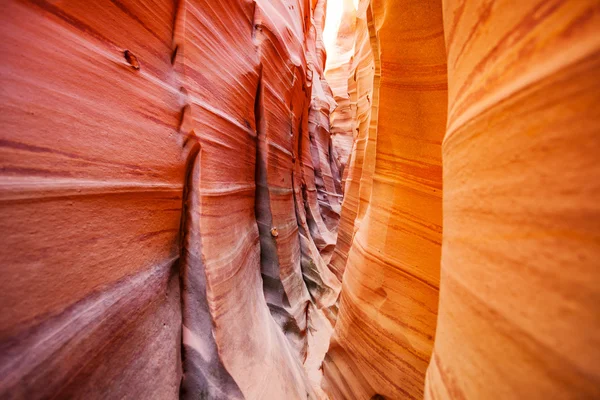 Sandsten vågor av Zebra Slot Canyon — Stockfoto