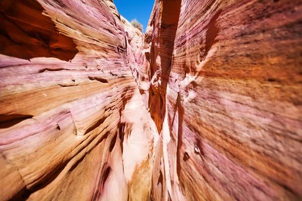 Passagem estreita em Zebra Canyon de Fenda — Fotografia de Stock