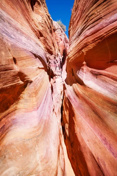 Fenda de Zebra estreita Canyon Utah — Fotografia de Stock