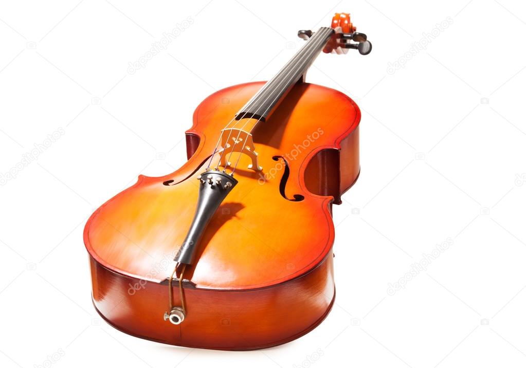 Violoncello in full length
