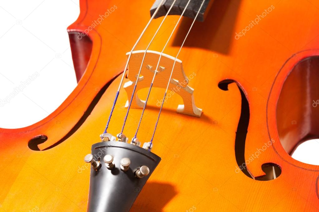cello body with bridge and F-holes