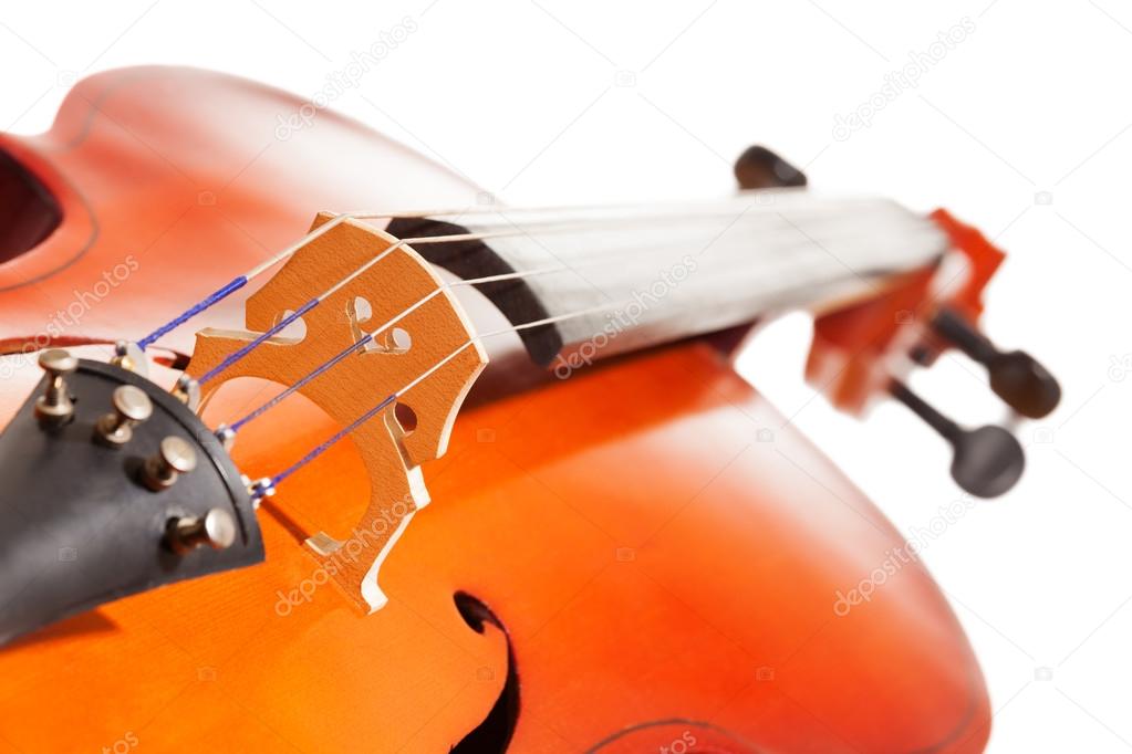 Cello body with bridge and F-holes