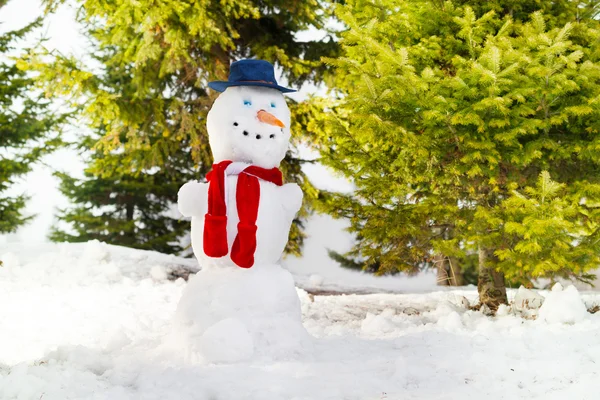 Sněhulák s modrý klobouk a červeným šátkem — Stock fotografie