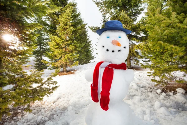 Hezký sněhulák s čepici a šálu — Stock fotografie