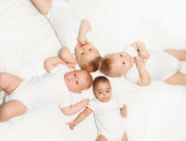 Varios bebés dulces en blanco — Foto de Stock