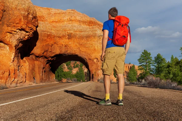 Muž na silnici poblíž Red canyon — Stock fotografie