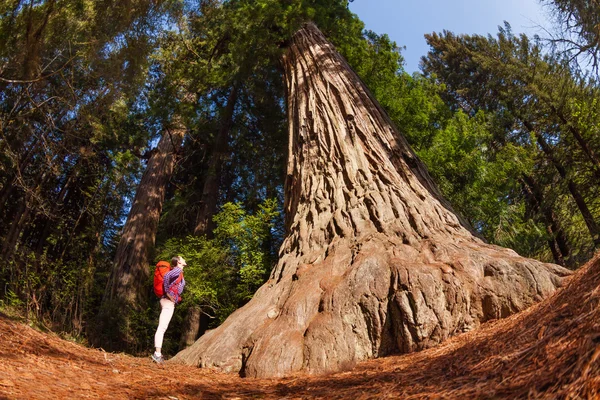 Girl standing near big tree — Stock Photo, Image