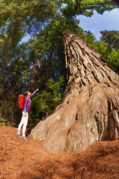 Apontando menina perto de árvore grande — Fotografia de Stock