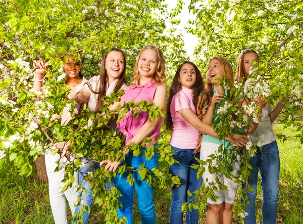 Hermosas chicas adolescentes sostienen ramas — Foto de Stock